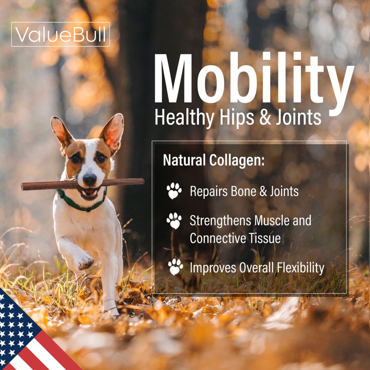 ValueBull USA Beef Collagen Sticks for Dogs, 12 Inch Thick Chews, 10 Count