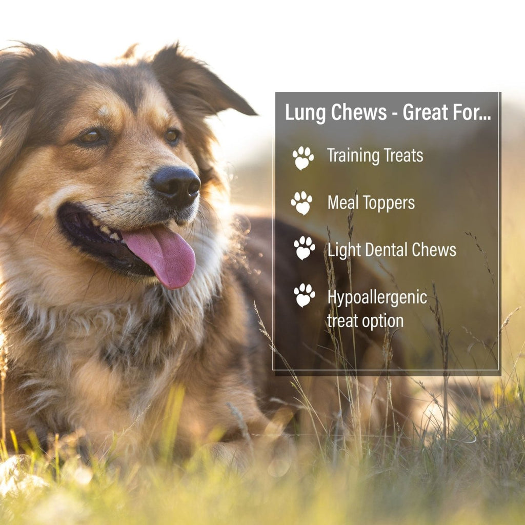 ValueBull Beef Lung Wafers for Dogs, 2 Pounds