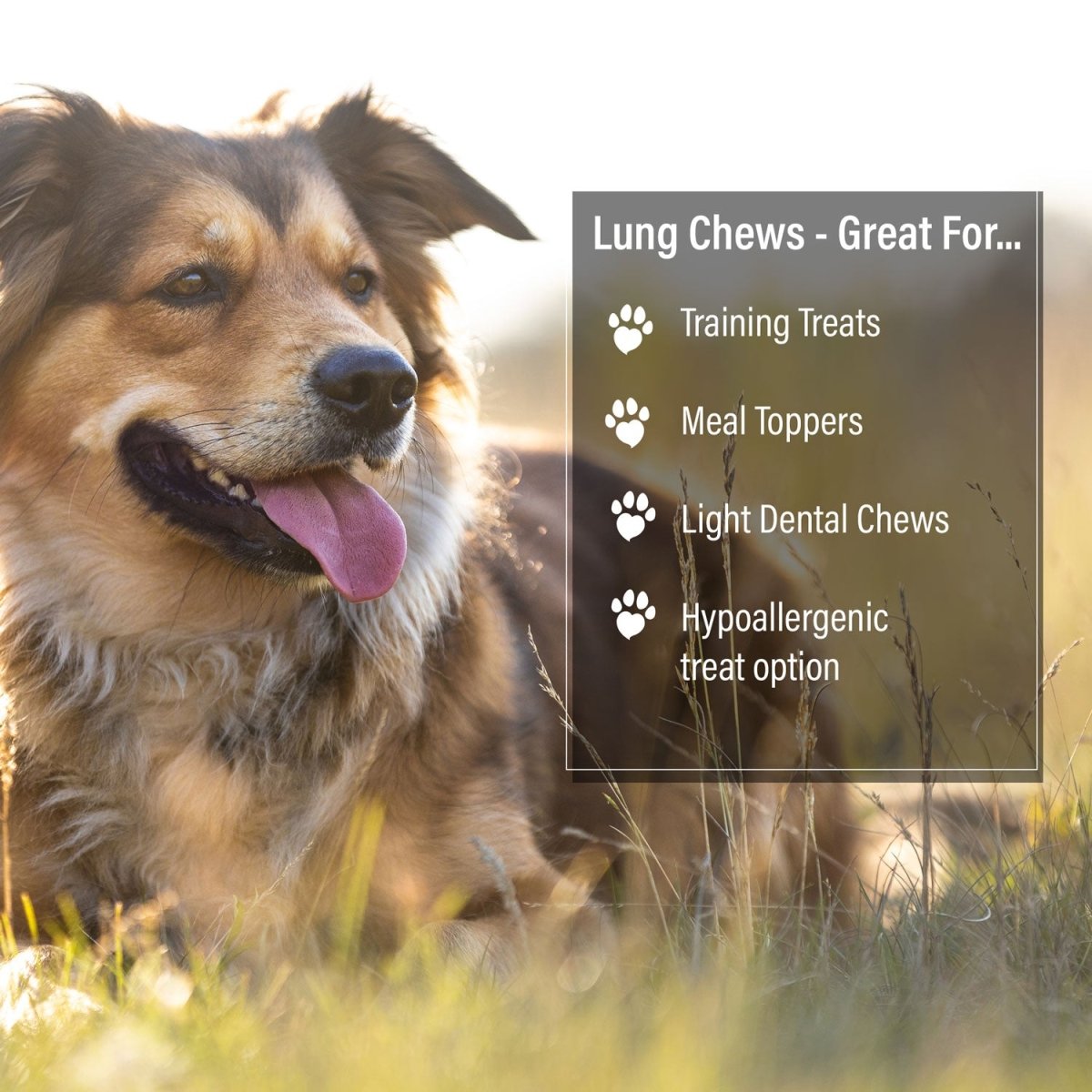ValueBull Beef Lung Wafers for Dogs, 2 Pounds