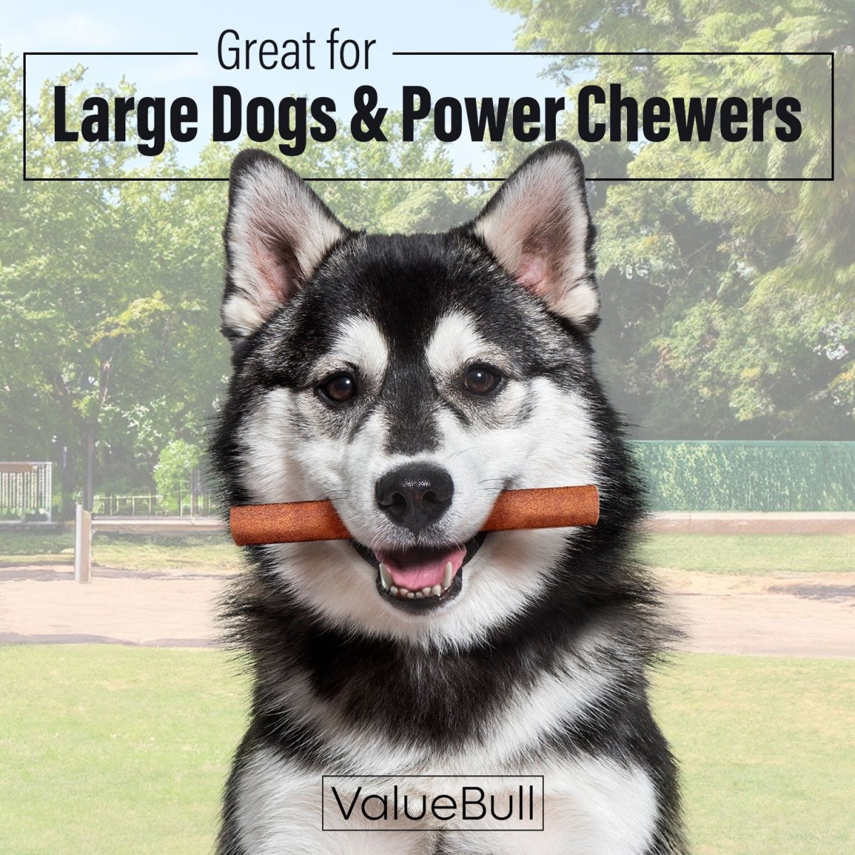 ValueBull Beef Collagen Sticks for Large Dogs, 6 Inch Jumbo Chew, 50 Count