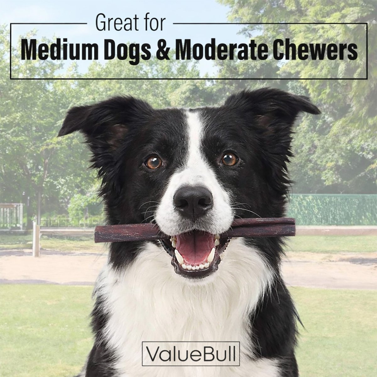 ValueBull Buffalo Collagen Sticks for Dogs, 6 Inch Medium Chews, 50 Count