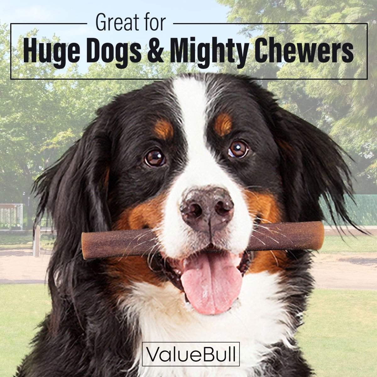 ValueBull Beef Collagen Sticks, 6 Inch Super Jumbo Chews, 25 Count