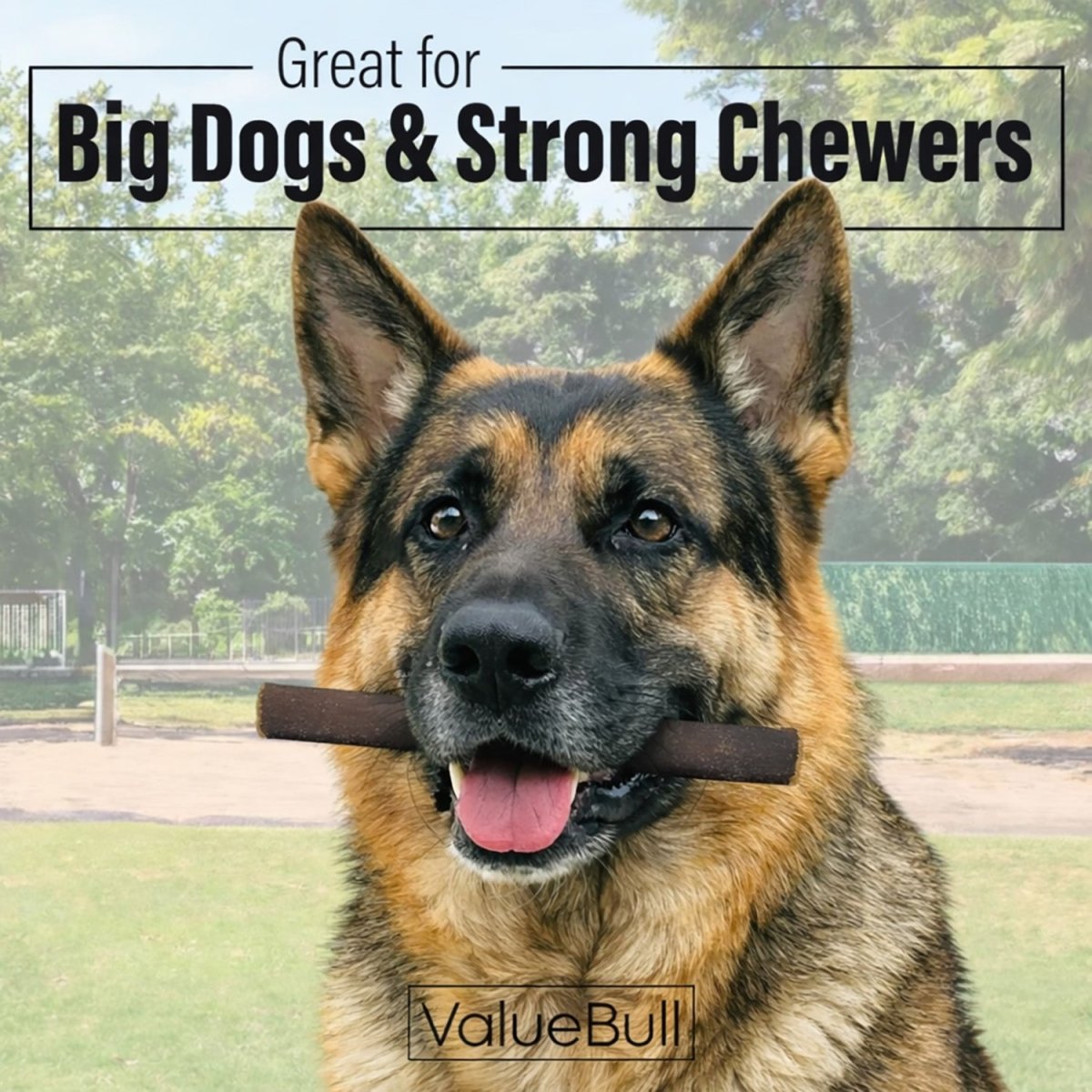 ValueBull Buffalo Collagen Sticks for Dogs, 6 Inch Thick Chews, 50 Count