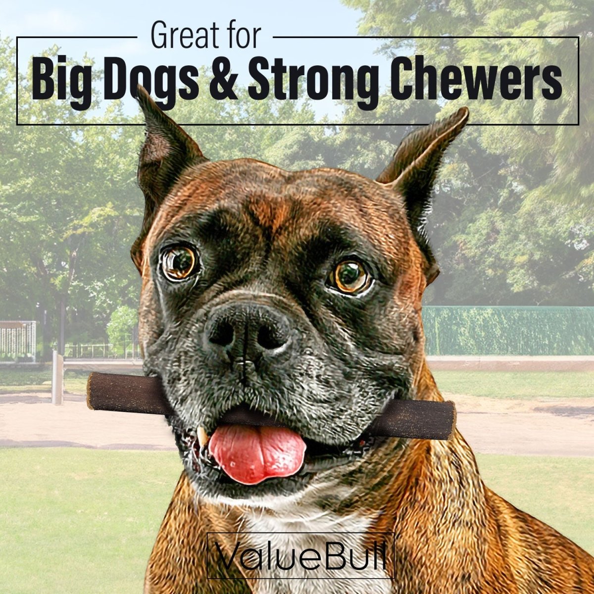 ValueBull Beef Collagen Sticks for Dogs, 6 Inch Thick Chews, 50 Count