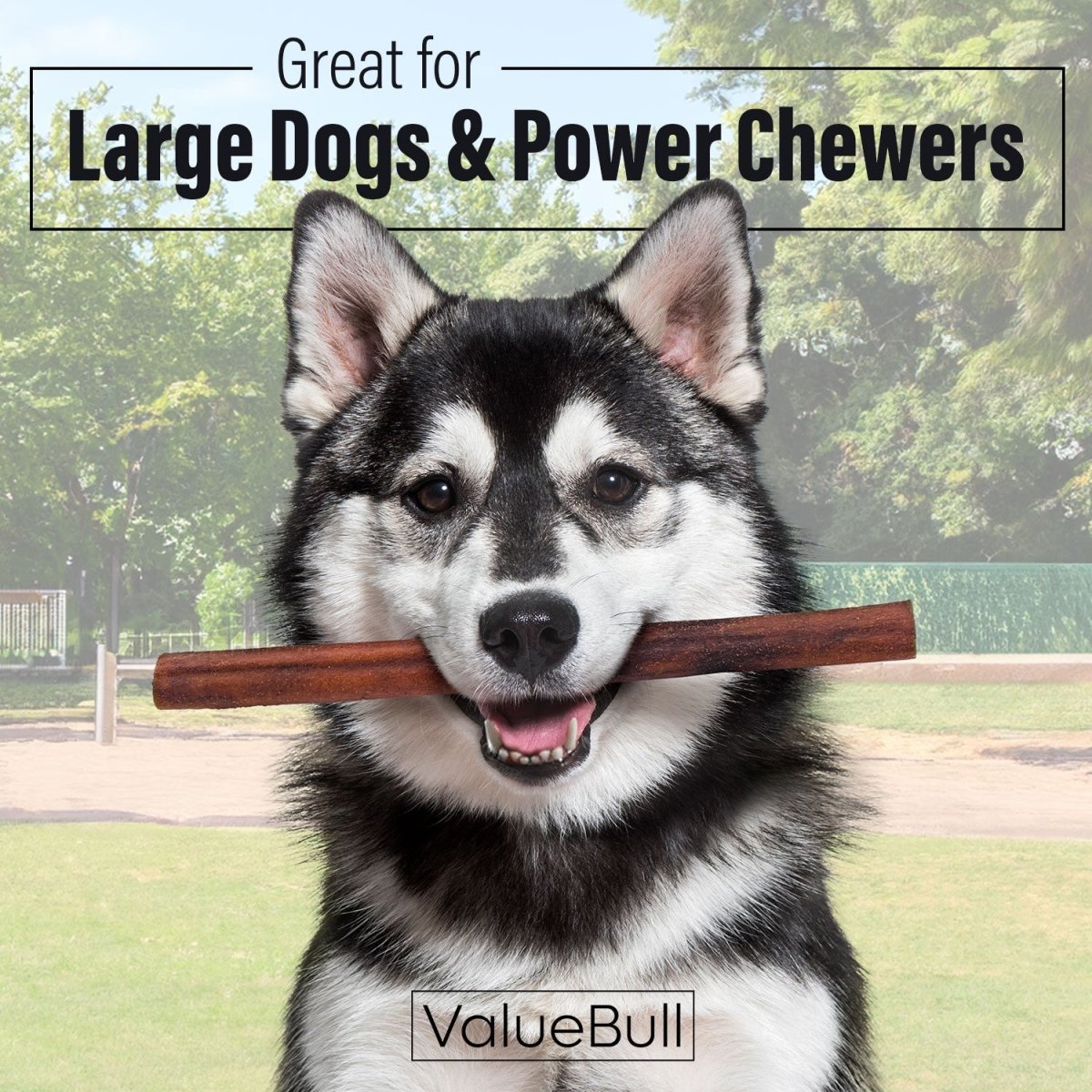 ValueBull Beef Collagen Sticks for Large Dog, 12 Inch Jumbo Chew, 25 Count