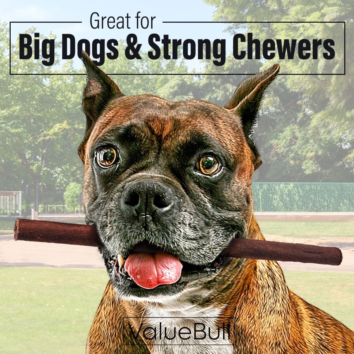 ValueBull Beef Collagen Sticks for Dogs, 12 Inch Thick Chew, 25 Count