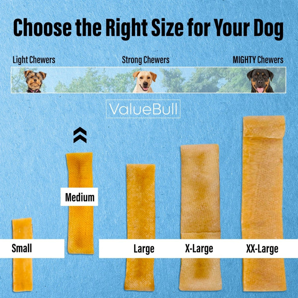 ValueBull Himalayan Yak Cheese Dog Chews, Medium, 10 Count
