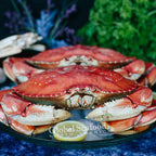 Whole Cooked Dungeness Crab | 10 lb