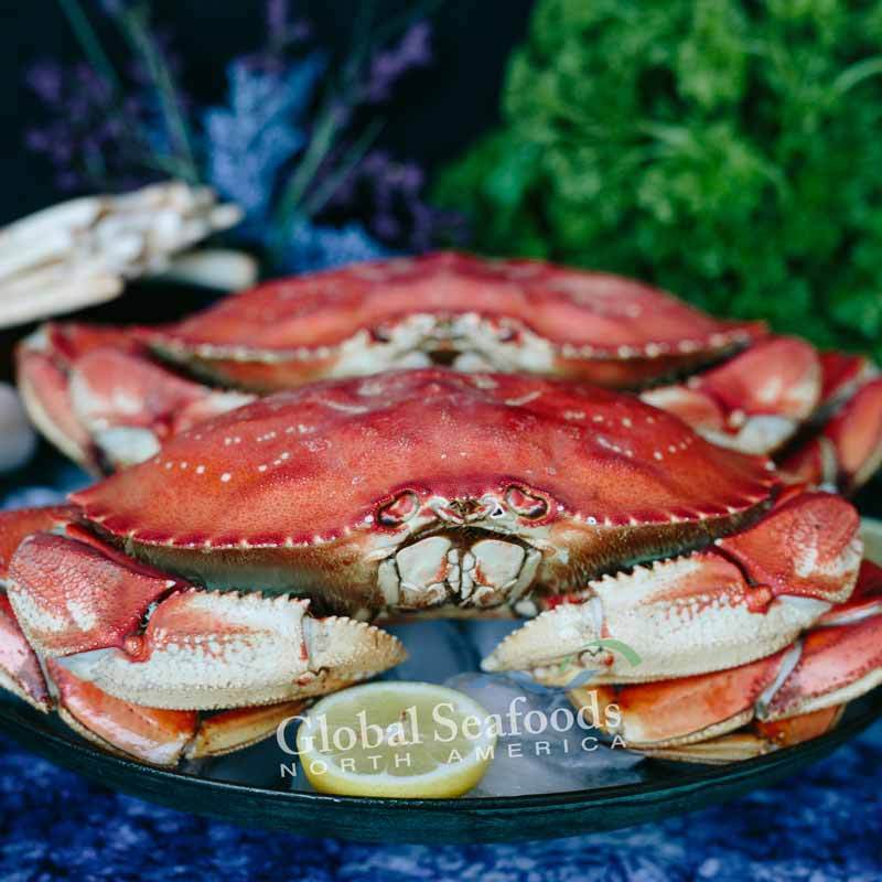 Whole Cooked Dungeness Crab | 10 lb