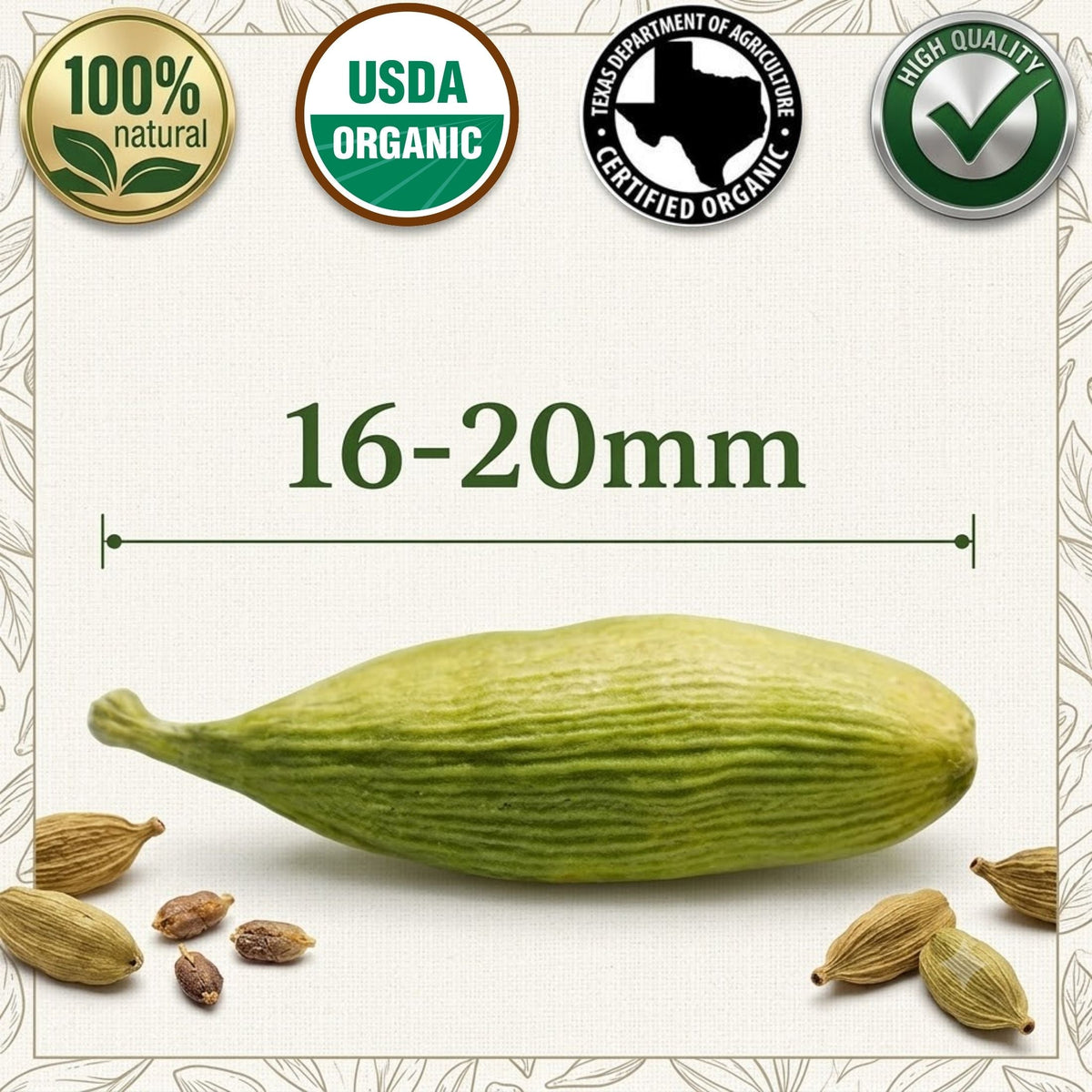 Organic Green Cardamom Pods – Jumbo, for Chai & Biryani