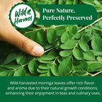 Dried Moringa Leaves 2.6 oz – Loose Leaf Herbal Tea | Akshit