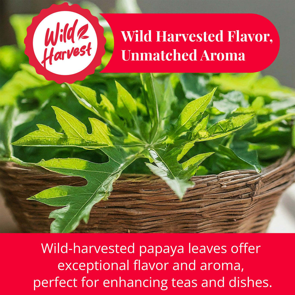 Dried Papaya Leaves 2.6 oz – Loose Leaf Herbal Tea | Akshit