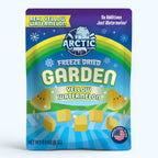 Freeze Dried Yellow Watermelon